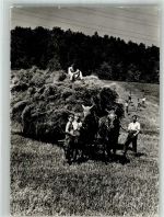 4410 Liestal 1953 Foto AK Kinderheim Knabenerziehungsheim Schillingsrain Heuernte