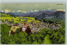 8496 Steg im Tösstal Künstlersteindruck Tösstal Wald Blick gegen Süden sign E. Bollmann