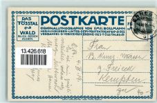 8496 Steg im Tösstal Künstlersteindruck Tösstal Wald Blick gegen Süden sign E. Bollmann