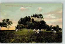 4402 Frenkendorf 1908 - Solbad Schauenburg Schloss Ruine