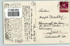 8767 Elm - mit Hausstock