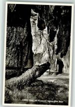 6340 Baar Foto AK Verlag U. Fotgraf Max Burkhardt Dom mit Krokodil Höllgrotten