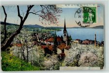 8810 Horgen 1918 Gebrauchsspuren Blühende Bäume