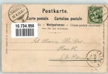 6460 Altdorf UR 1901 Lithographie / Künstlerkarte Denkmal Tell sign. Steinmann, C.