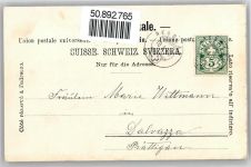 9650 Nesslau - Gesamtansicht