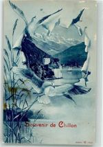 Chillon Chateau Passepartout Taube