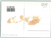 6315 Oberägeri Gebrauchsspuren Fliegeraufnahme