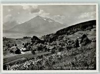 3657 Schwanden Sigriswil Gebrauchsspuren Niesen