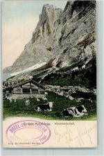Grosse Scheidegg 1911 Gebrauchsspuren Alpenlandschaft Kühe