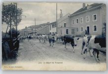 1348 Le Brassus Gebrauchsspuren Kuh