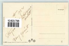 4800 Zofingen - Löwenstatue