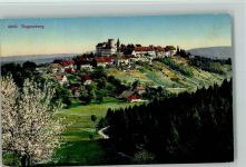 8158 Regensberg 1916 - Blühende Bäume