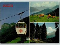 6376 Emmetten - Stockhütte Kühe Seilbahn