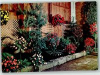 8197 Rafz Foto AK Rosenausstellung Fa. Hauenstein Foto A. Grüter