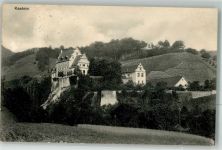 5116 Schinznach Bad Foto AK Schloss Kasteln