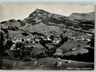 9650 Nesslau - Ort lt. Stempel