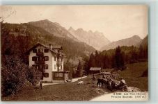 1882 Gryon 1916 - Pension Saussaz Schwein Kuh Les Pars