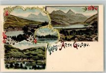 6410 Goldau Lithographie Insel Schwanau