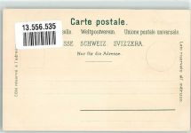 6410 Goldau Lithographie Insel Schwanau