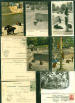 3000 Bern Berne Kleinposten bis 20 Lot mit 15 AK, 1900-1922; gute Erhaltung, größtenteils gelaufen