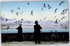 Genfersee Lac Leman - Möwen