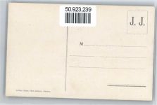 Genfersee Lac Leman - Möwen