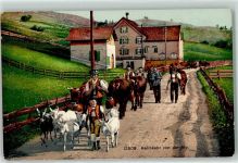 Alpfahrt Hirten Ziegen Kühe Rinder Kuhglocken