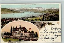 8803 Nidelbad Rüschlikon 1903 - Panorama vom Nidelbad Hotel Belvoir bei Nidelbad Wappen