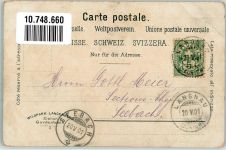 8135 Langnau am Albis Foto AK Hirsch Ort lt. Stempel