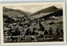 4438 Langenbruck - Kühe auf der Weide