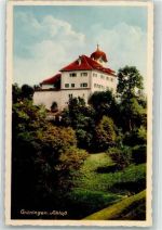 8627 Grüningen Foto AK Schloss
