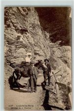 3954 Leukerbad Loèche-les-Bains 1912 - Montee de la Gemmi Reiterin Damensattel
