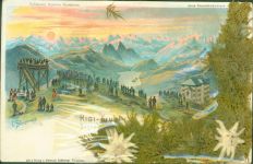6410 Rigi Kulm AK mit gepresstem Edelweiß echte Blumen hinter Folie mit Rissen