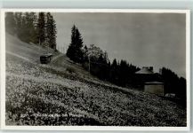 Les Pléiades - chemin de fer