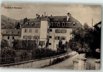9424 Rheineck 1916 - Custerhof