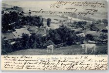 8242 Hofen SH - Teilansicht, Kühe