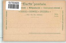 6460 Altdorf UR BOAKC Hotel schwarzer Löwen F. M. Arnold Tell Denkmal Lithographie