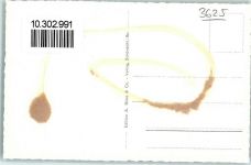 3625 Schwendi-Dörfli Gebrauchsspuren Alpen