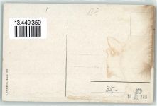 3812 Wilderswil Lithographie Hotel et Pension Schönbühl