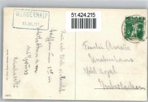 Wengernalp 1911 - Kühe Mettlenalp