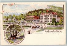 4448 Läufelfingen 1907 Lithographie Kurhaus Frohburg Fam. Bader Buchenhain