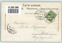 8500 Frauenfeld 1903 Lithographie Tracht Thurgauerin Schloss Wollgras