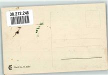 8767 Elm Foto AK Frühling