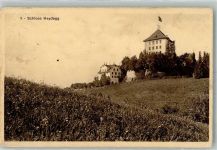 6284 Gelfingen 1920 Foto AK Schloss Heydegg