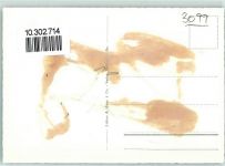 Gantrisch Gebrauchsspuren Unterer Gantrisch