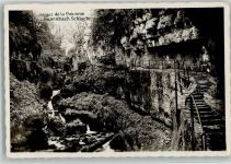 2513 Twann 1935 Foto AK Twannbachschlucht