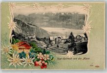6356 Rigi Kaltbad Prägedruck Alpen Edelweiß Passepartout Lithographie