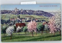 4115 Mariastein - Ruine Landskron