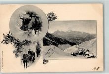 7494 Wiesen GR 1905 - Winter Pferdeschlitten Bären Tritt