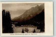 EngelhörnerSchwarzwaldalp - Kurhaus